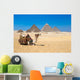 Giza Cairo Egypt Wall Decal