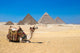 Giza Cairo Egypt Wall Decal