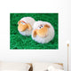 Two Little Toy Sheep Wall Decal