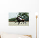 Polo Wall Decal
