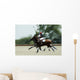 Polo Wall Decal