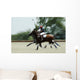 Polo Wall Decal