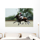Polo Wall Decal