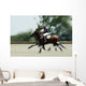 Polo Wall Decal