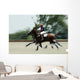 Polo Wall Decal
