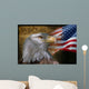 Bald Eagle and American Wall Decal