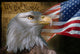 Bald Eagle and American Wall Decal