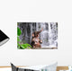Elephant Is Bathing Waterfall Wall Decal