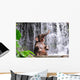 Elephant Is Bathing Waterfall Wall Decal