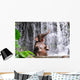 Elephant Is Bathing Waterfall Wall Decal
