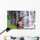Elephant Is Bathing Waterfall Wall Decal