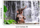 Elephant Is Bathing Waterfall Wall Decal