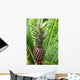 Pineapple Plant Wall Decal