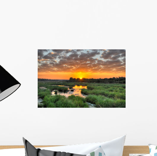 Sunrise Kruger National Park Wall Decal