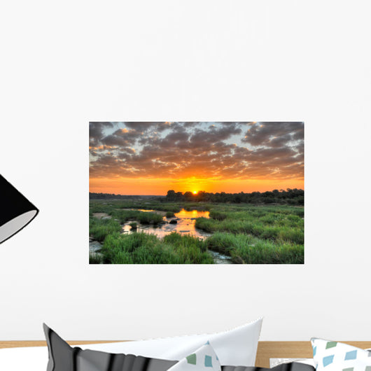 Sunrise Kruger National Park Wall Decal