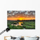 Sunrise Kruger National Park Wall Decal