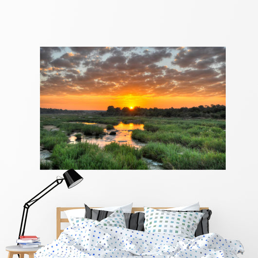 Sunrise Kruger National Park Wall Decal