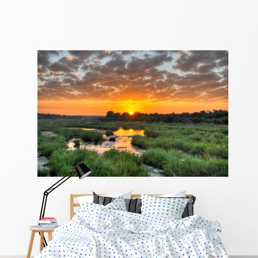 Sunrise Kruger National Park Wall Decal