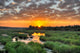 Sunrise Kruger National Park Wall Decal