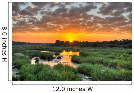 Sunrise Kruger National Park Wall Decal