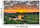 Sunrise Kruger National Park Wall Decal