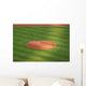 Pitcher's Mound Wall Decal
