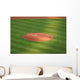 Pitcher's Mound Wall Decal