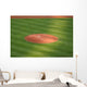 Pitcher's Mound Wall Decal