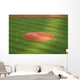 Pitcher's Mound Wall Decal