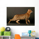Cat Bengals Profile Wall Decal