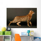 Cat Bengals Profile Wall Decal