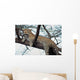Leopard in a Tree Wall Decal