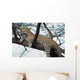 Leopard in a Tree Wall Decal