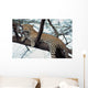 Leopard in a Tree Wall Decal