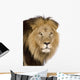 Close-up Lion's Head 4 Wall Decal