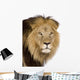 Close-up Lion's Head 4 Wall Decal