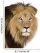Close-up Lion's Head 4 Wall Decal