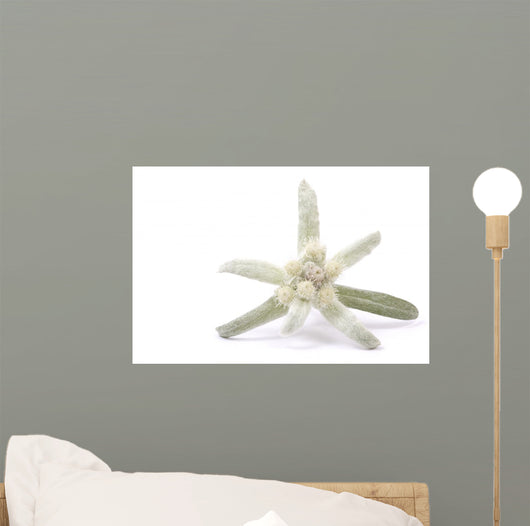 Edelweiss Silver and Green Wall Decal