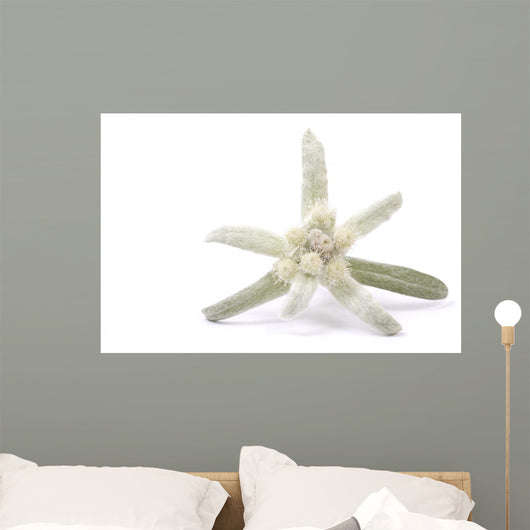 Edelweiss Silver and Green Wall Decal
