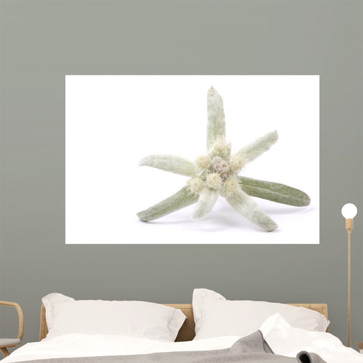 Edelweiss Silver and Green Wall Decal