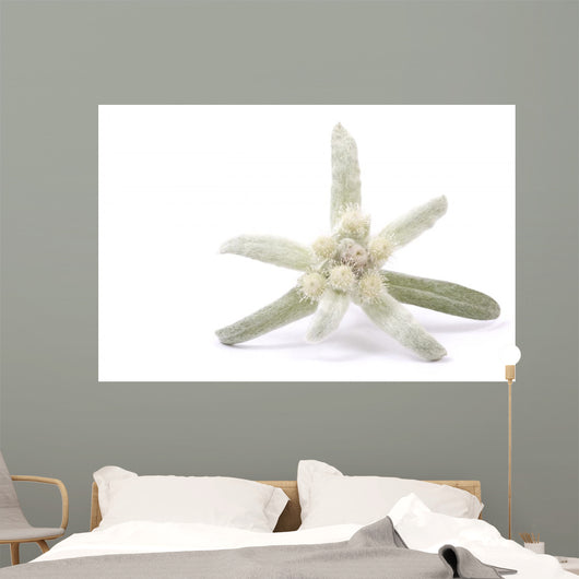 Edelweiss Silver and Green Wall Decal