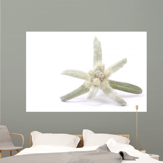 Edelweiss Silver and Green Wall Decal