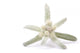Edelweiss Silver and Green Wall Decal