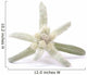 Edelweiss Silver and Green Wall Decal