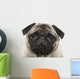 Pug 4 Years Wall Decal