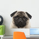 Pug 4 Years Wall Decal