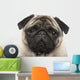 Pug 4 Years Wall Decal
