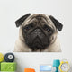 Pug 4 Years Wall Decal