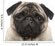 Pug 4 Years Wall Decal