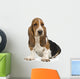 Basset Hound Wall Decal